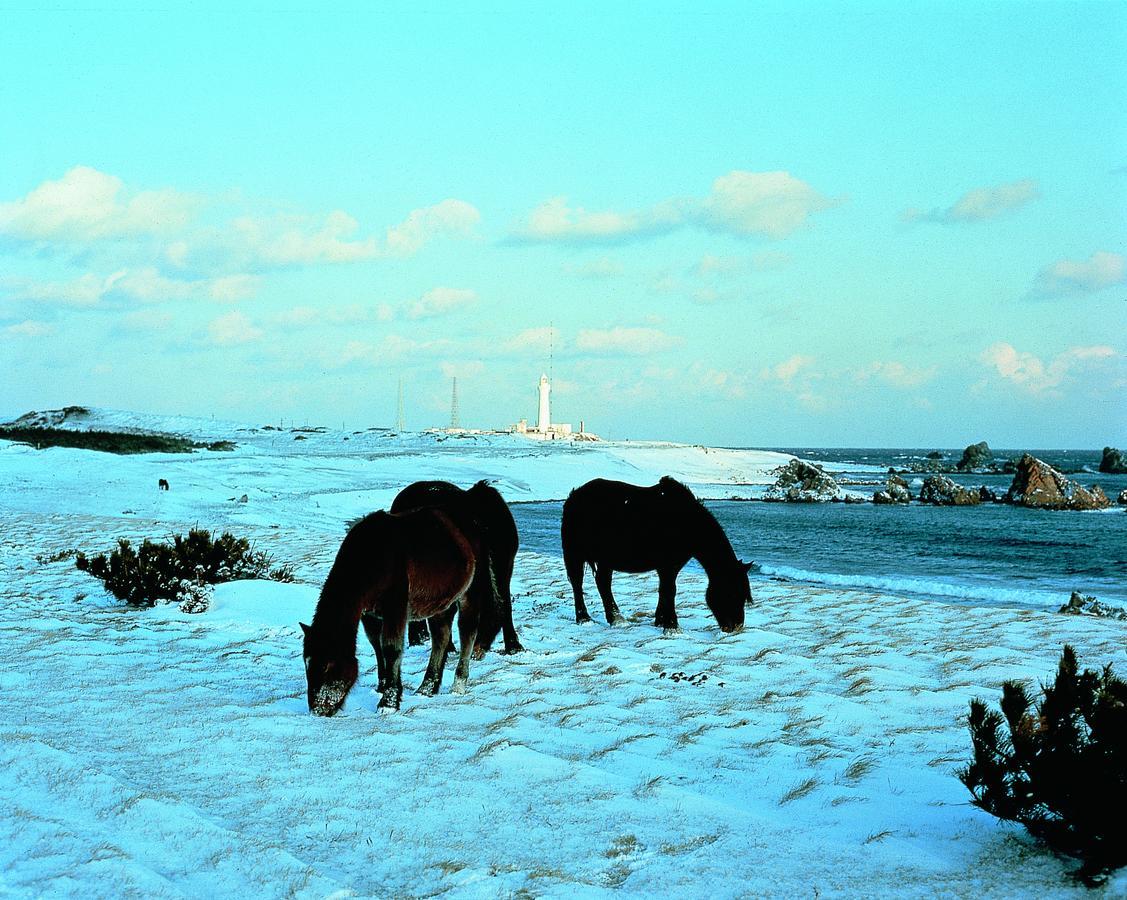 Pittinn Goshogawara Exteriér fotografie