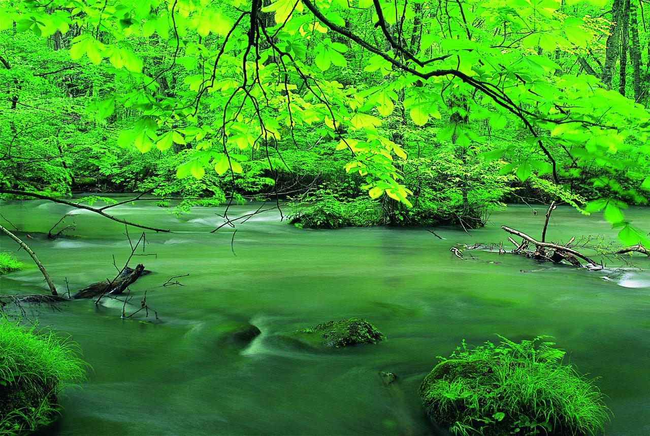 Pittinn Goshogawara Exteriér fotografie